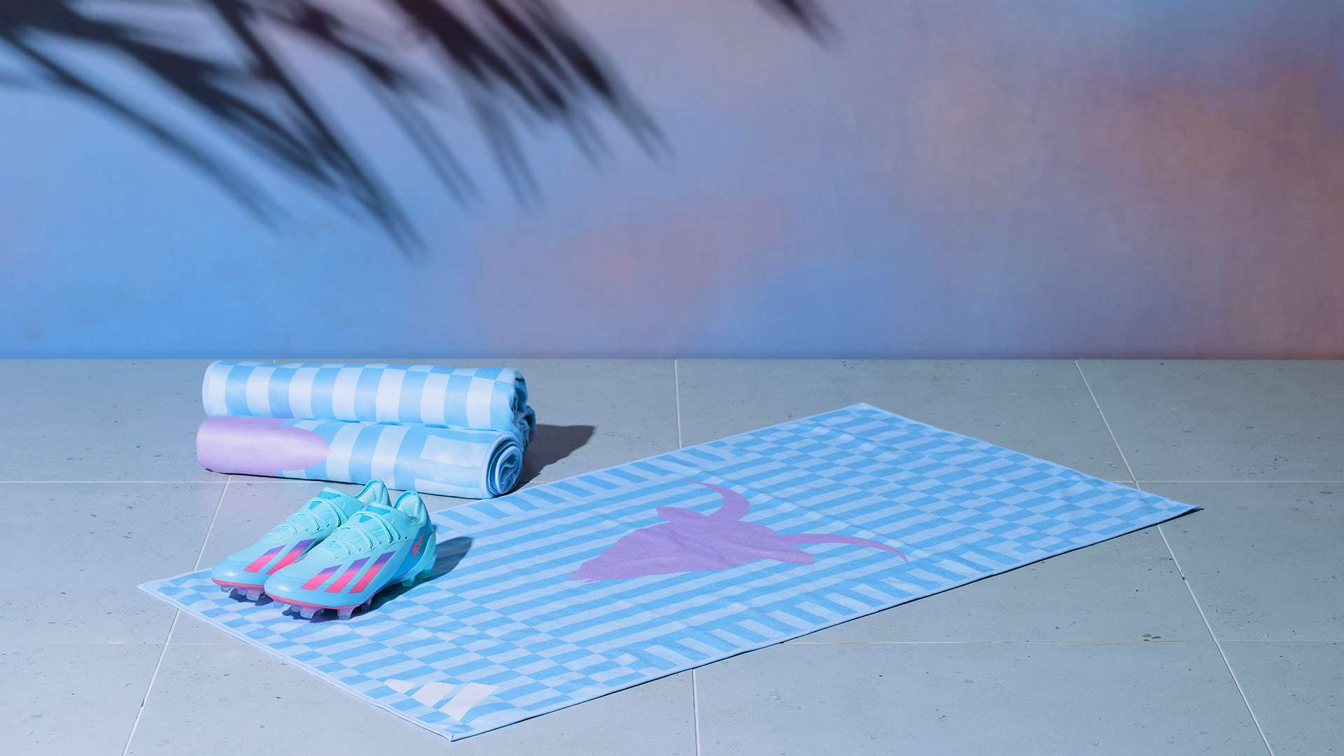 队的轮换球 队的轮换球