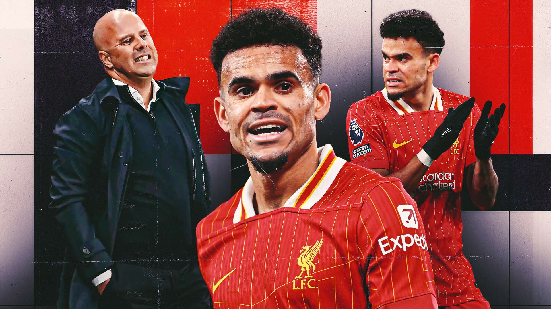 球员们具备 球员们具备