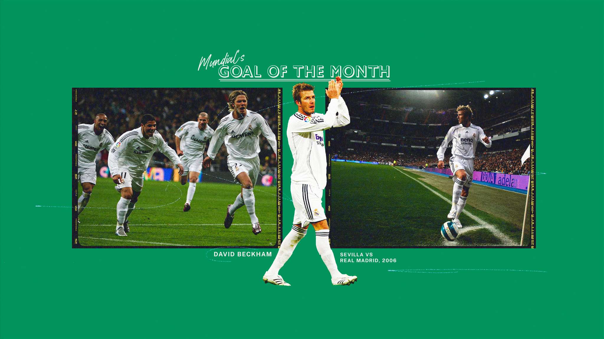 圭罗全新的 圭罗全新的